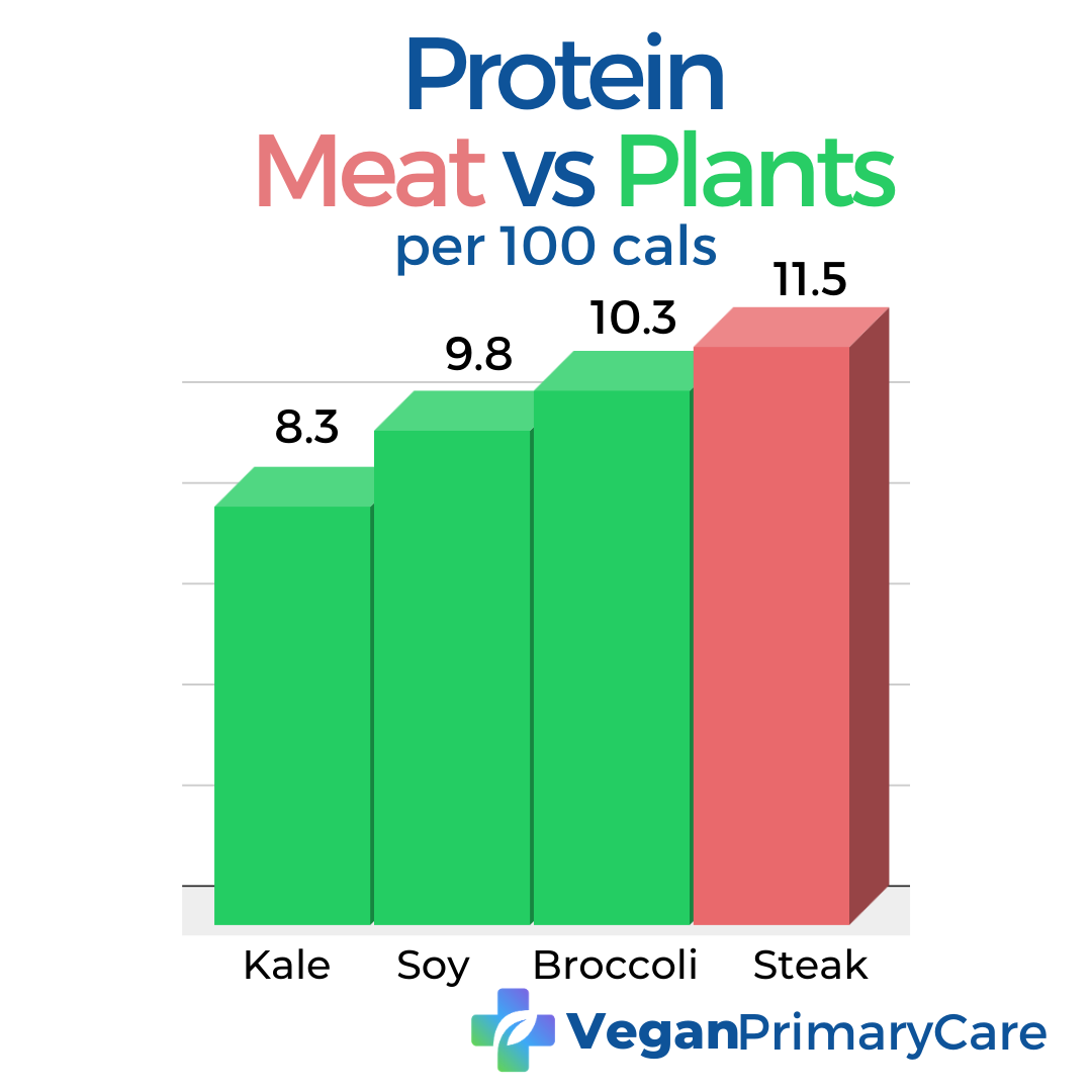 A graph labeled Protein in meat vs plants per 100 calories containing similar proteain values kale, soy, broccoli and steak, the veganprimarycare.com logo is at the bottom