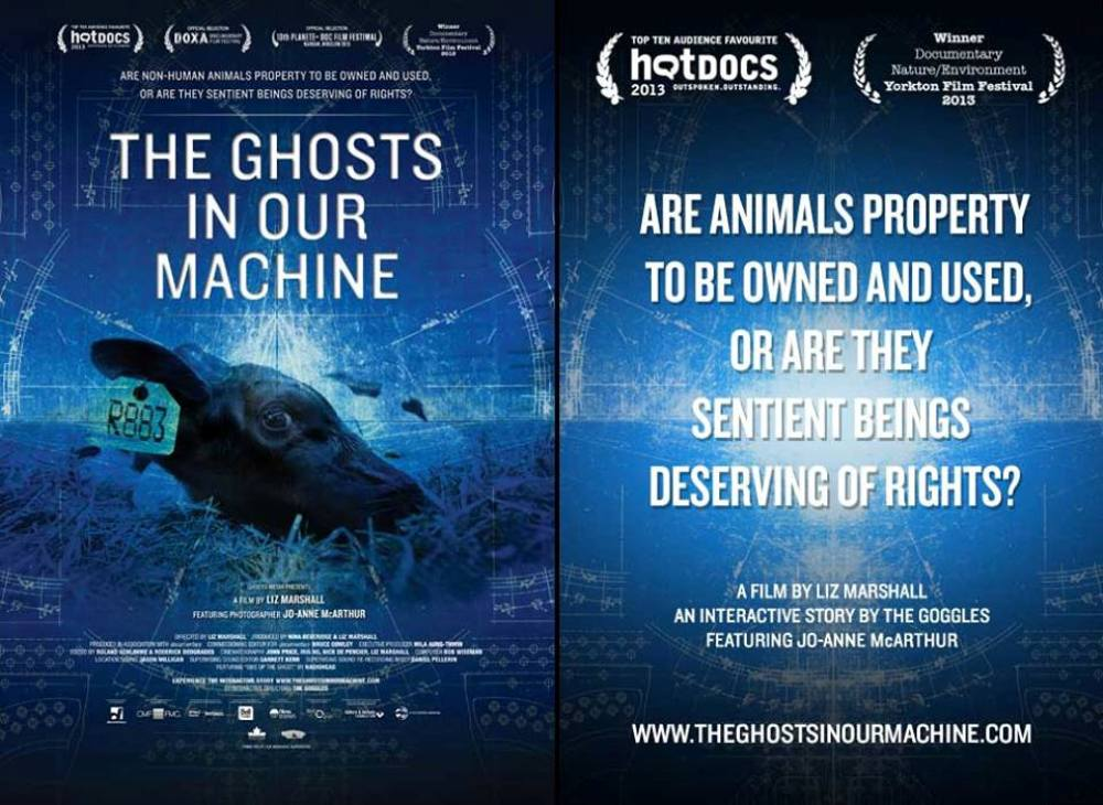 Vegan documentary movie poster for The Ghosts In Our Machine with a dark blue background and a tagged cows head and lots movie quotes