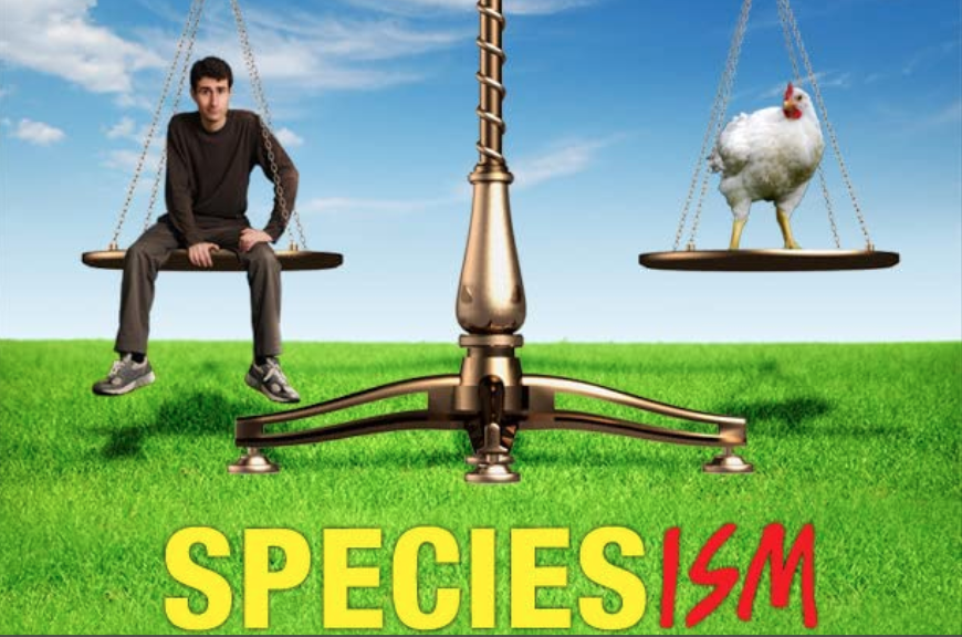 The vegan movie poster for Speciesism a vegan documentary showing a scale with a male on one side and a chicken on the other showing they are equal